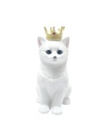 Gatto bianco con corona