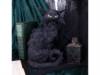 Salem Gatto Maxi 32 cm Nemesis Now