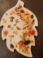 Sotto pentola autunno funghi