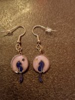 orecchini gatti stelline