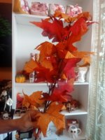 ramo foglie di acero